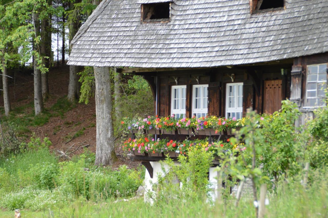 Ferienwohnung Baeuerle Schönwalde エクステリア 写真